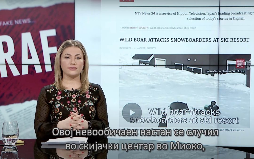 Poligraf: Kush përhapi të lajm të pavërtetë se një derr i egër ka sulmuar snouborderë në Mavrovë?